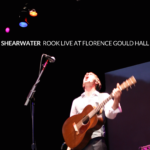rook-live