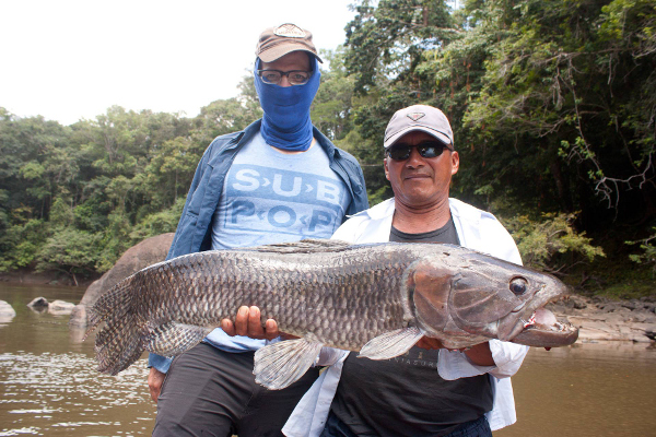 jm-in-guyana